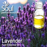 Pure Essential Oil Lavender - 10ml Pure Essential Oil Lavender - 10ml